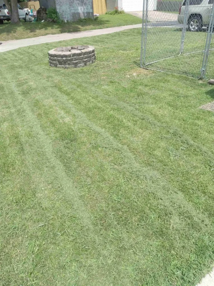 Expert yard maintenance in Davenport, IA - Connected Circle Lawn