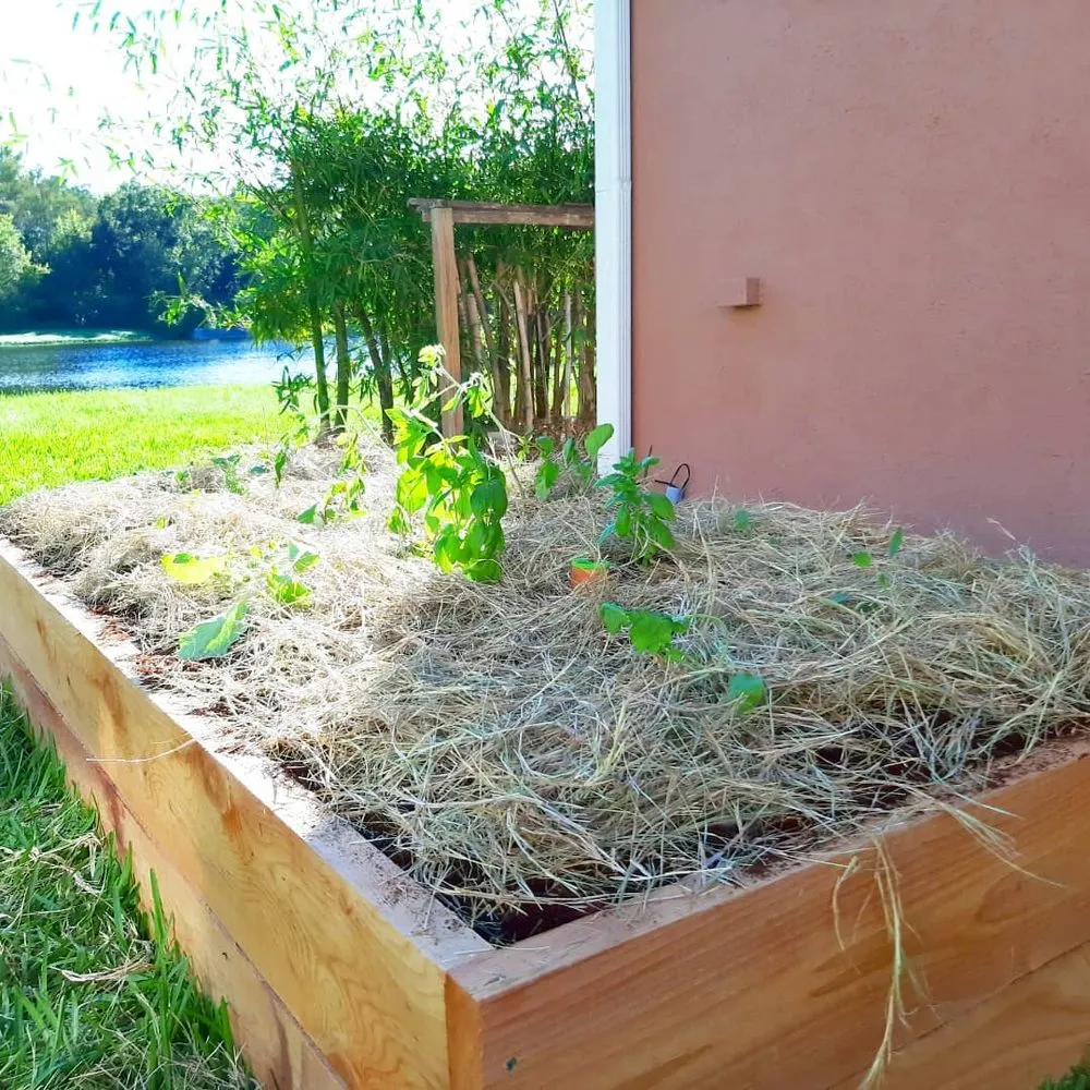 Trusted outdoor landscaping with custom design across Orlando, FL - Connected Landscapes