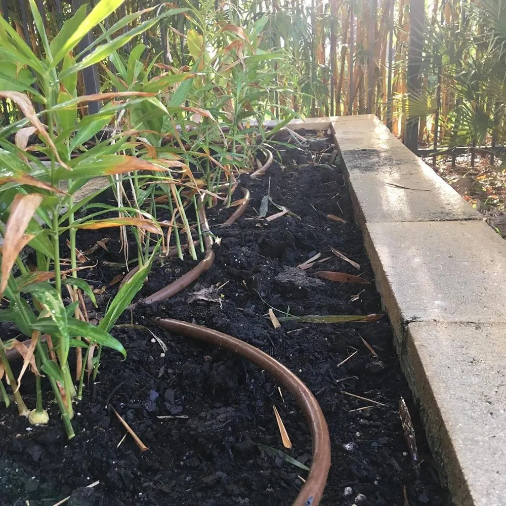 Local garden landscaping experts serving Orlando, FL - Connected Landscapes