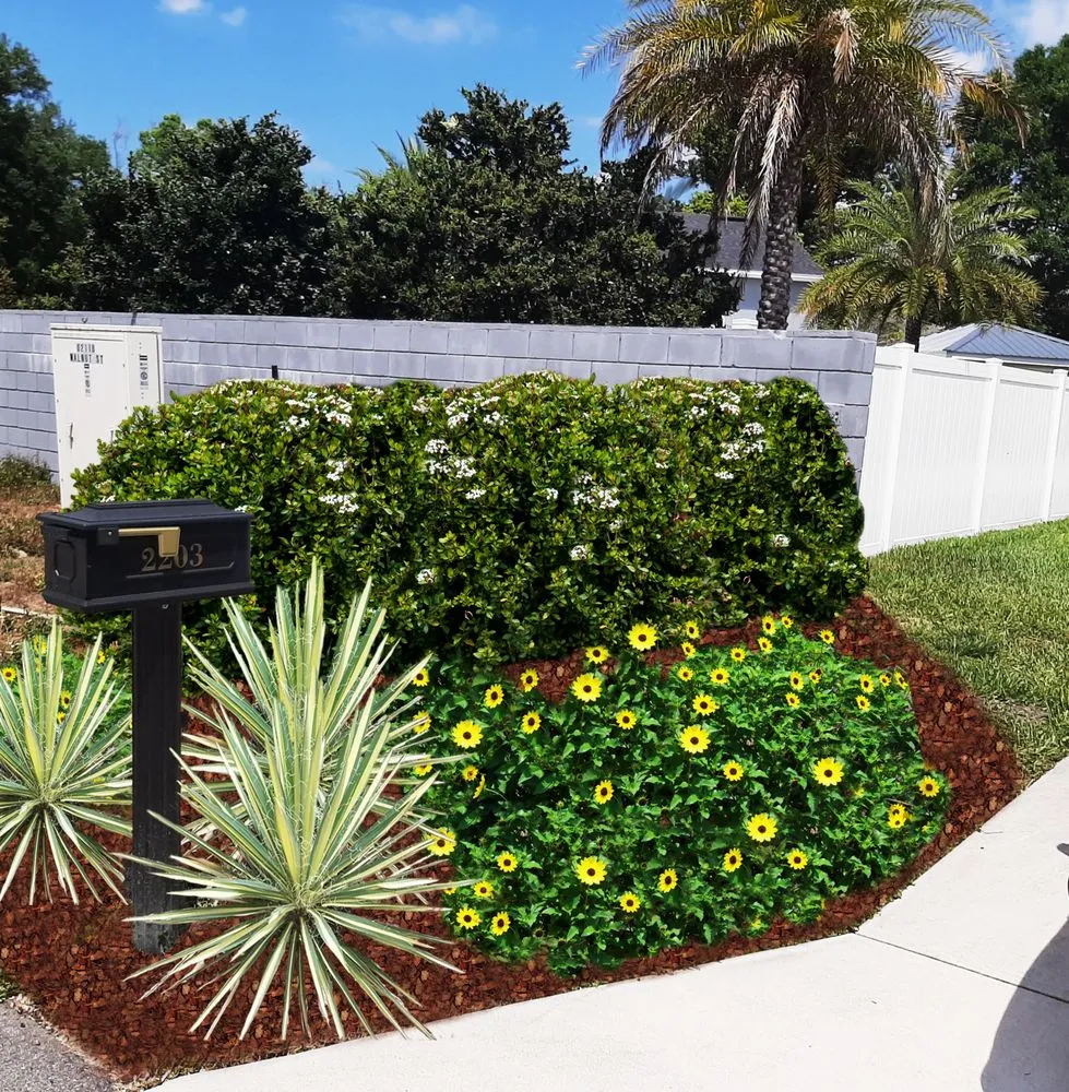 Local yard cleanup service for outdoor upgrades in Orlando, FL by Connected Landscapes