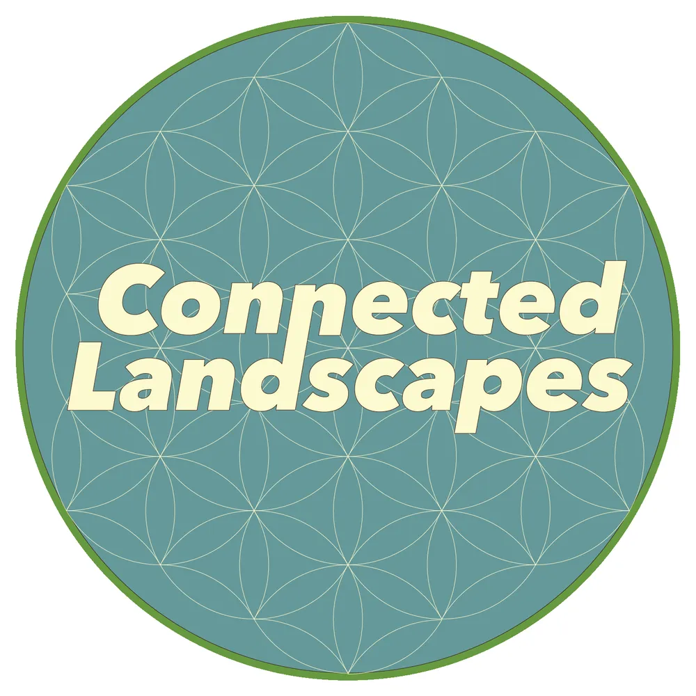 Local landscape design in Orlando, FL - Connected Landscapes