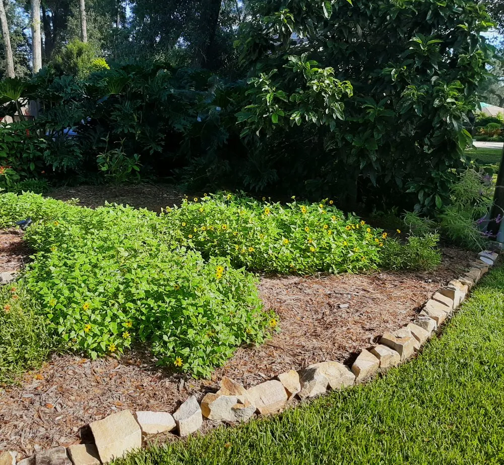 Reliable garden landscaping in Orlando, FL - Connected Landscapes