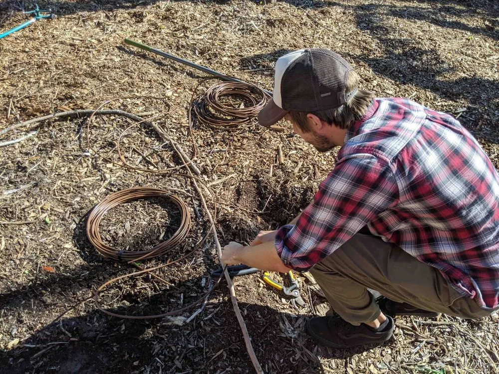 Top-rated lawn mowing service with custom design in Orlando, FL by Connected Landscapes