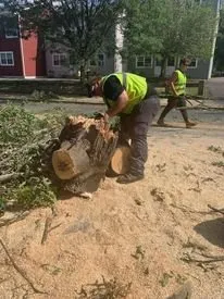Professional landscape installation for homes in Middletown, CT by Connecticut Land Clearing and Excavation