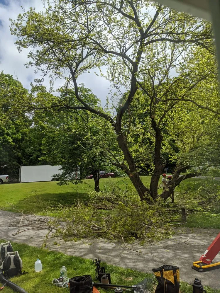 Trusted yard maintenance in Hebron, CT by Connecticut Landscape & Tree