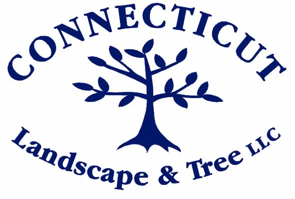Connecticut Landscape & Tree