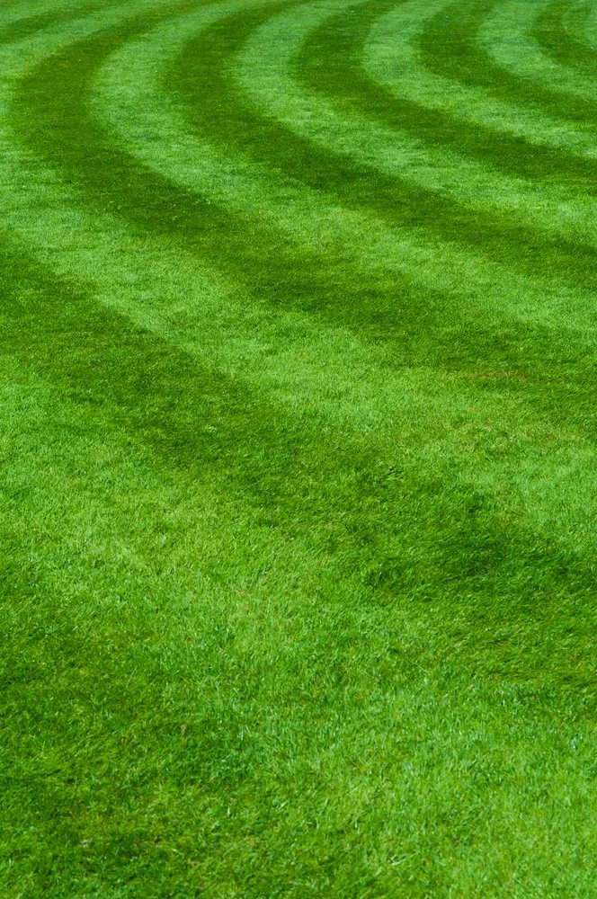 Reliable lawn mowing service for beautiful yards in Norwalk, CT by Connecticut Lawncare & Services