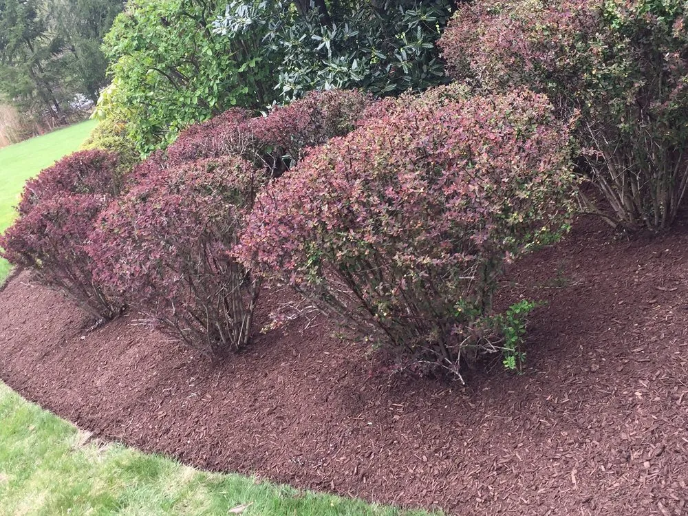Affordable outdoor landscaping experts serving Norwalk, CT - Connecticut Lawncare & Services