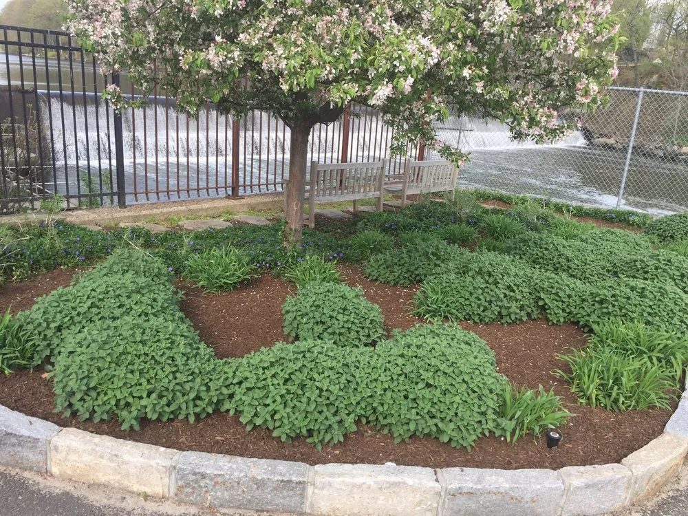 Custom yard maintenance in Norwalk, CT by Connecticut Lawncare & Services