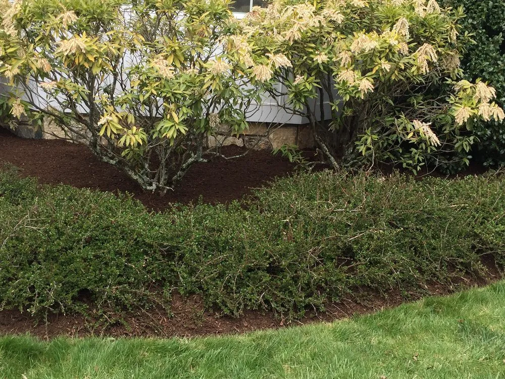 Affordable yard maintenance in Norwalk, CT - Connecticut Lawncare & Services