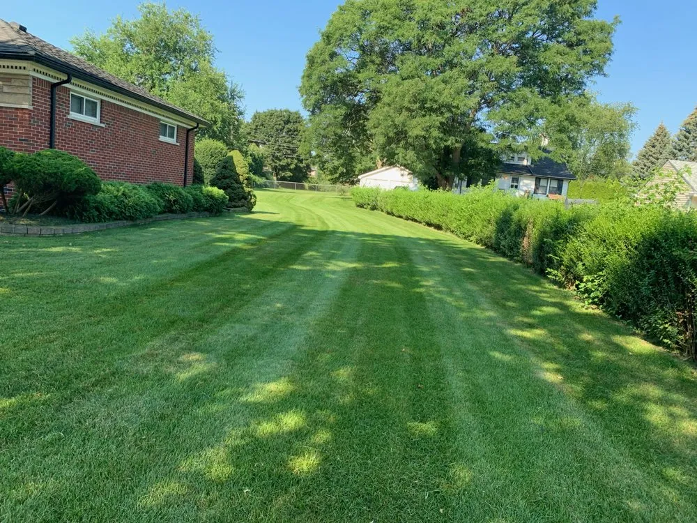 Trusted yard cleanup service in Lincoln Park, MI - Connelly's Outdoor Maintenance