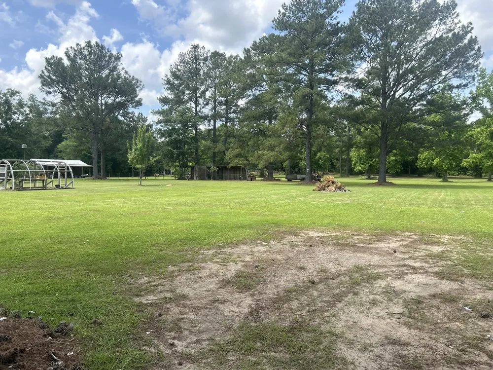 Custom landscape installation near you across Wilmer, AL - Conners Complete Cut