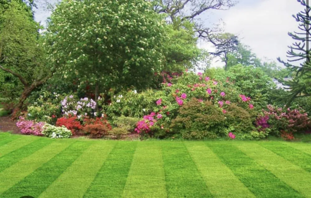 Affordable outdoor landscaping for beautiful yards in Wilmer, AL by Conners Complete Cut