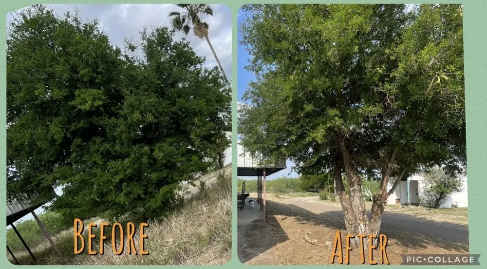 Expert outdoor landscaping in San Antonio, TX by Conners Landscaping & Backhoe