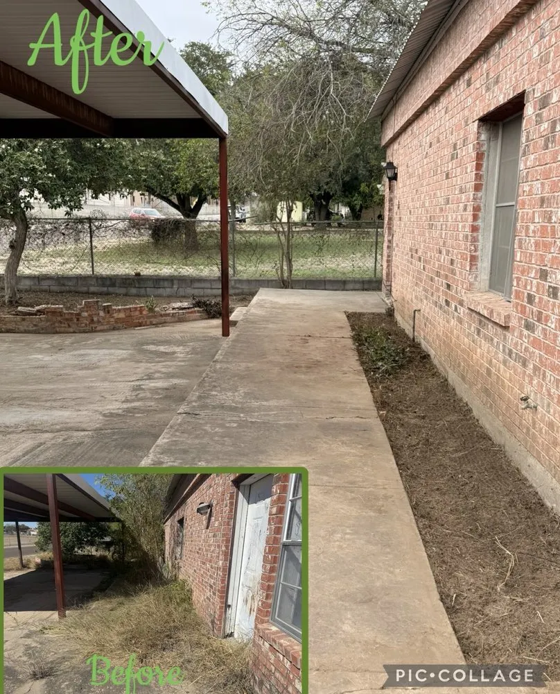 Professional outdoor landscaping for year-round maintenance in San Antonio, TX by Conners Landscaping & Backhoe