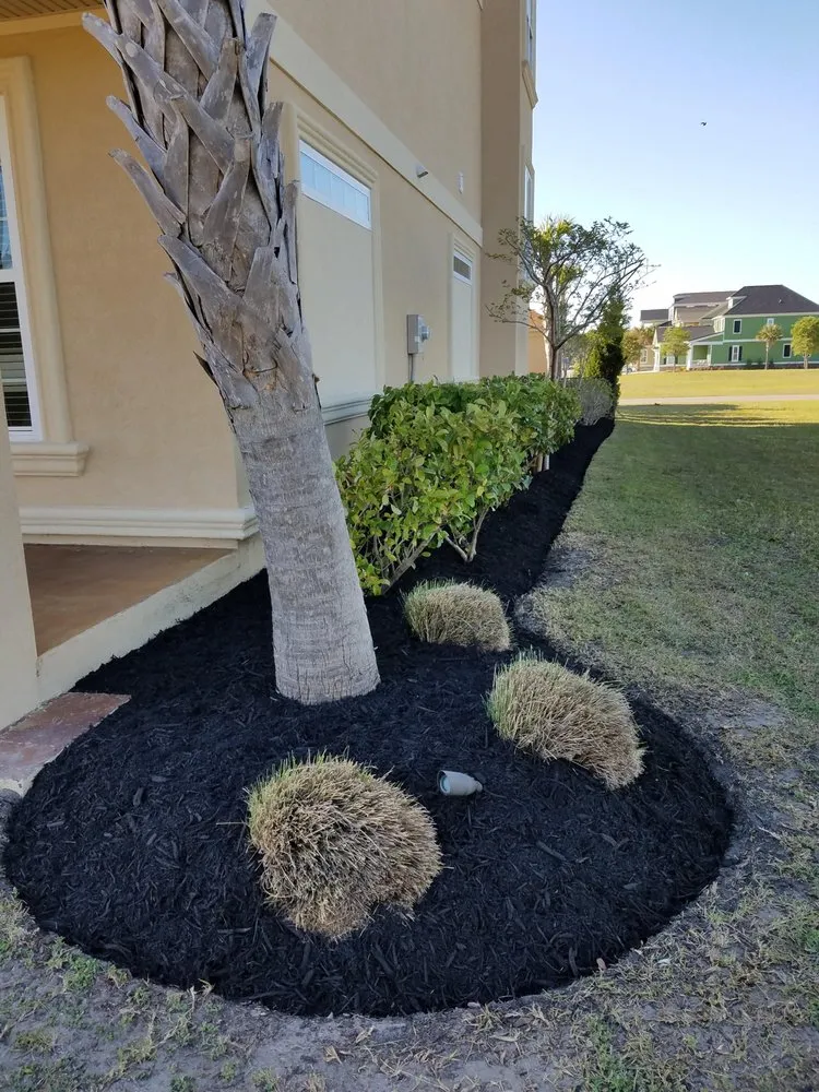Reliable outdoor landscaping near you in Myrtle Beach, SC by Conner's Lawn Care