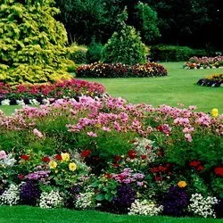 Custom garden landscaping experts serving Myrtle Beach, SC - Conner's Lawn Care