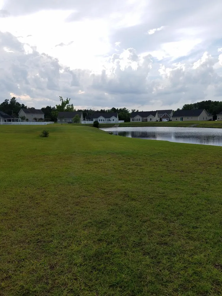 Custom yard cleanup service in Myrtle Beach, SC - Conner's Lawn Care