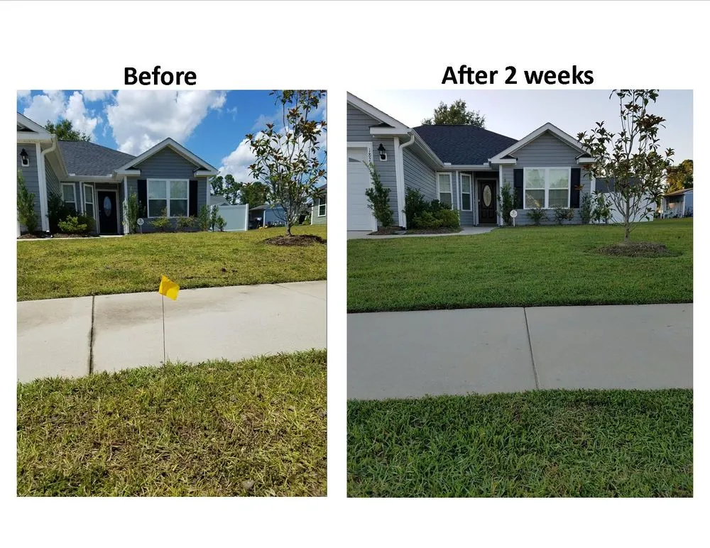 Professional yard maintenance for beautiful yards in Myrtle Beach, SC by Conner's Lawn Care