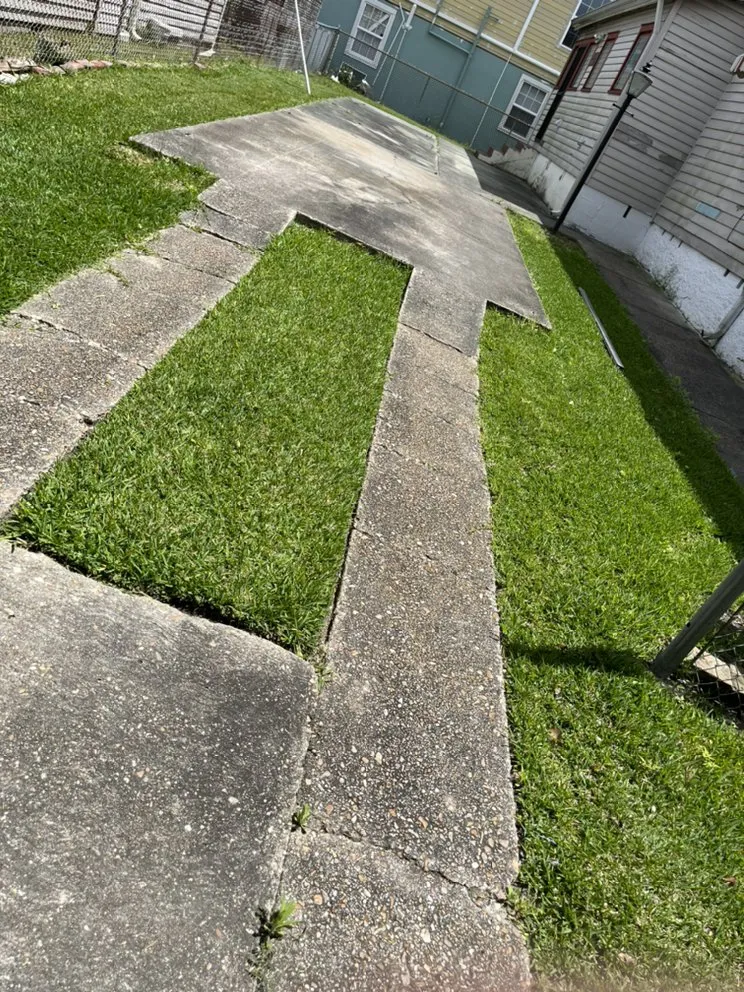 Trusted yard cleanup service experts serving New Orleans, LA - Conners Lawn Care