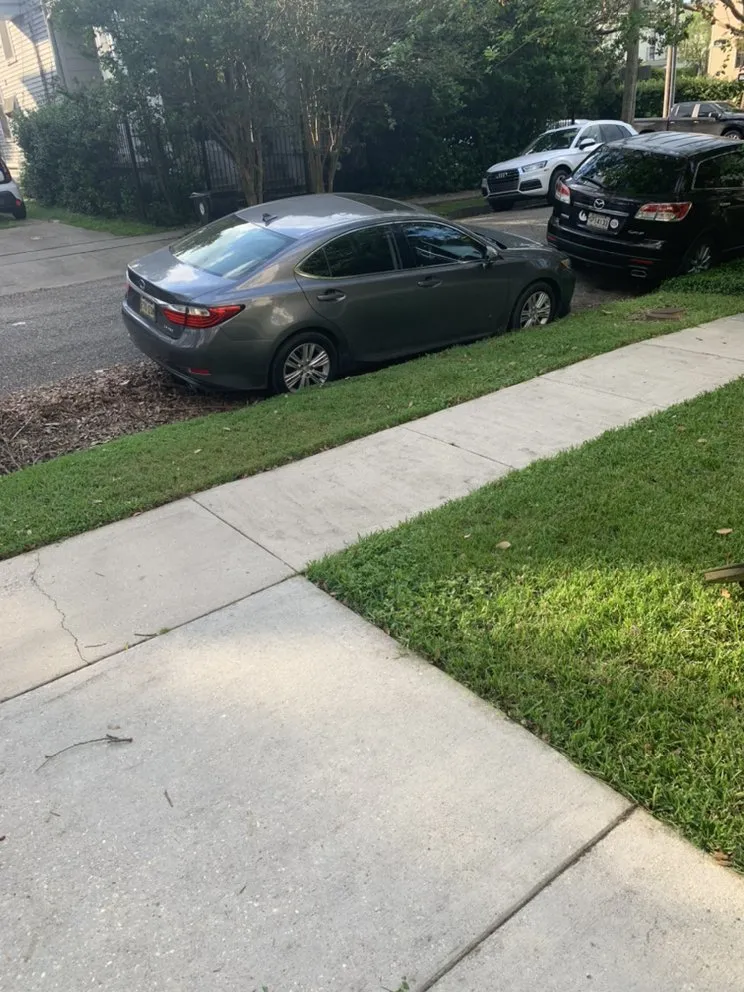 Professional landscape installation in New Orleans, LA - Conners Lawn Care