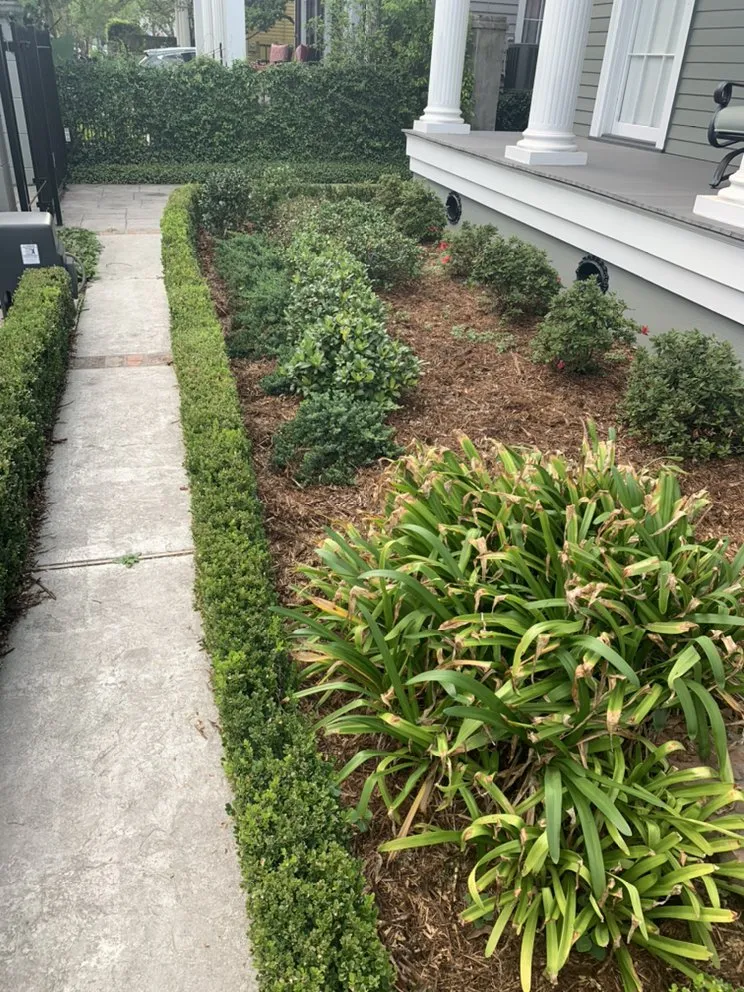 Affordable landscape installation in New Orleans, LA by Conners Lawn Care