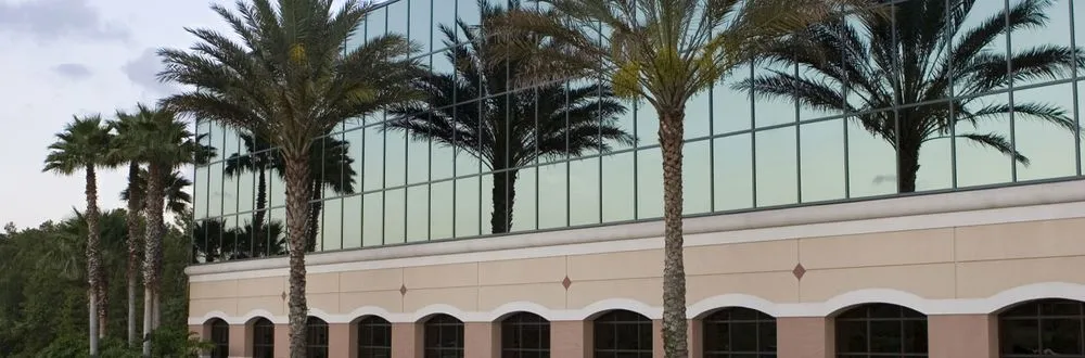 Affordable landscaping services in Lynn Haven, FL by Conner's Lawn, Palm, and Tree Service