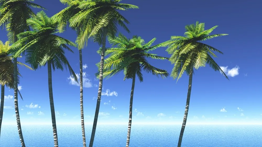 Trusted garden landscaping for homes in Lynn Haven, FL by Conner's Lawn, Palm, and Tree Service