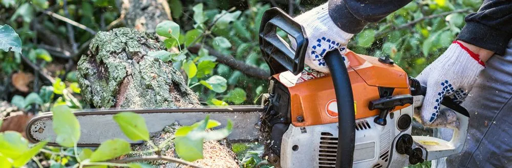 Custom lawn care service near you across Lynn Haven, FL - Conner's Lawn, Palm, and Tree Service