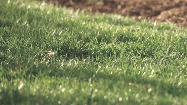 Local landscape design in West Mifflin, PA - Connolly Bro’s Landscaping Services