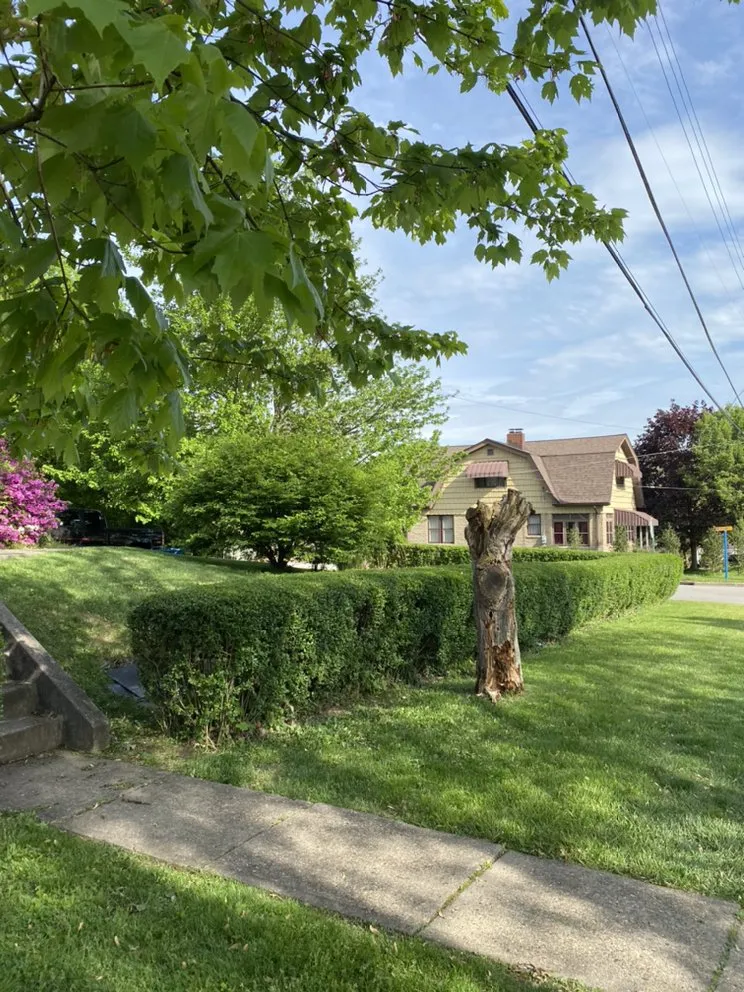 Local outdoor landscaping for residential properties in West Mifflin, PA by Connolly Bro’s Landscaping Services