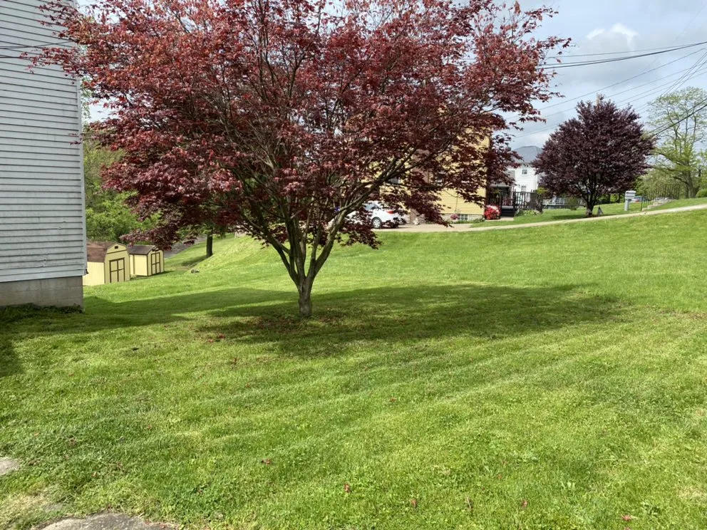 Affordable yard cleanup service with custom design in West Mifflin, PA by Connolly Bro’s Landscaping Services