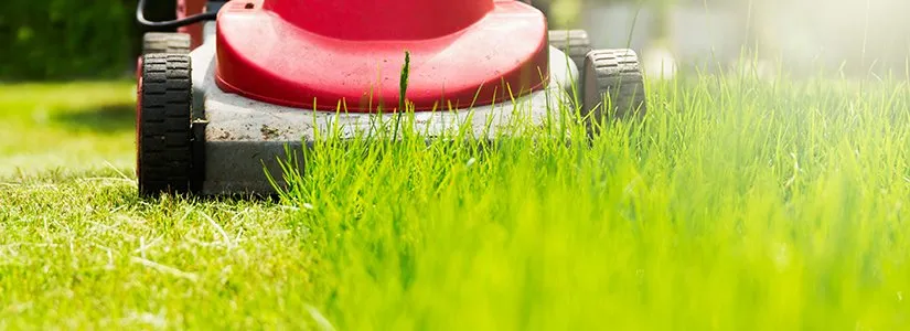 Reliable lawn care service experts serving West Mifflin, PA - Connolly Bro’s Landscaping Services