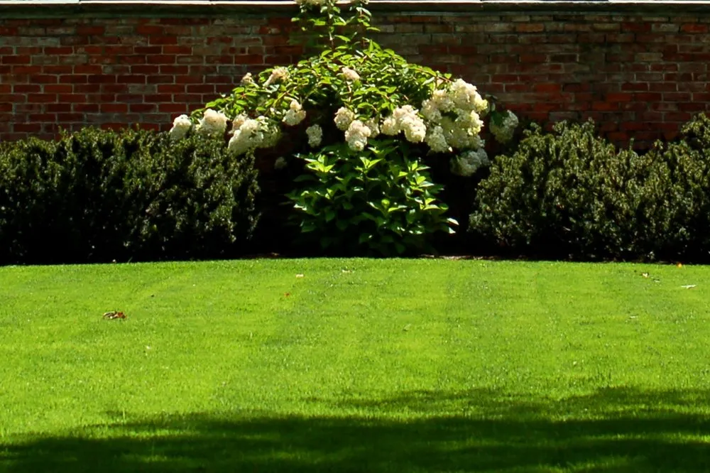 Top-rated yard cleanup service with custom design in West Mifflin, PA by Connolly Bro’s Landscaping Services