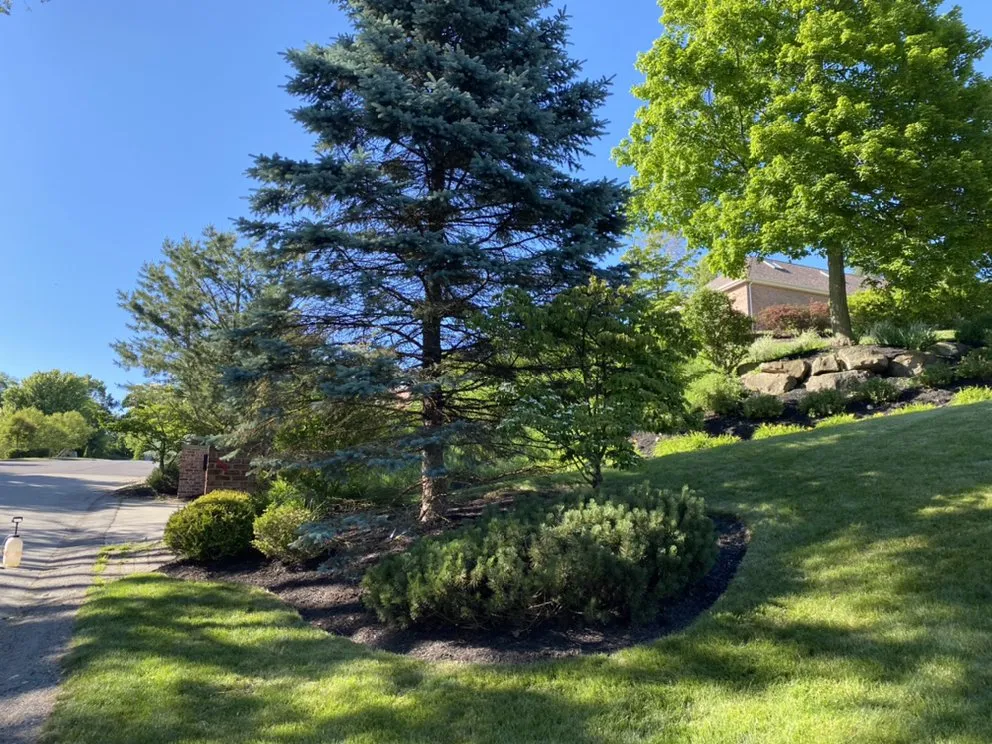 Affordable lawn mowing service in West Mifflin, PA - Connolly Bro’s Landscaping Services