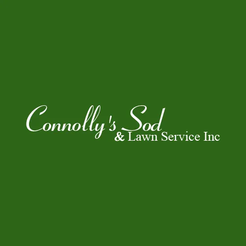 Expert outdoor landscaping for outdoor upgrades in Spring, FL by Connolly's Sod