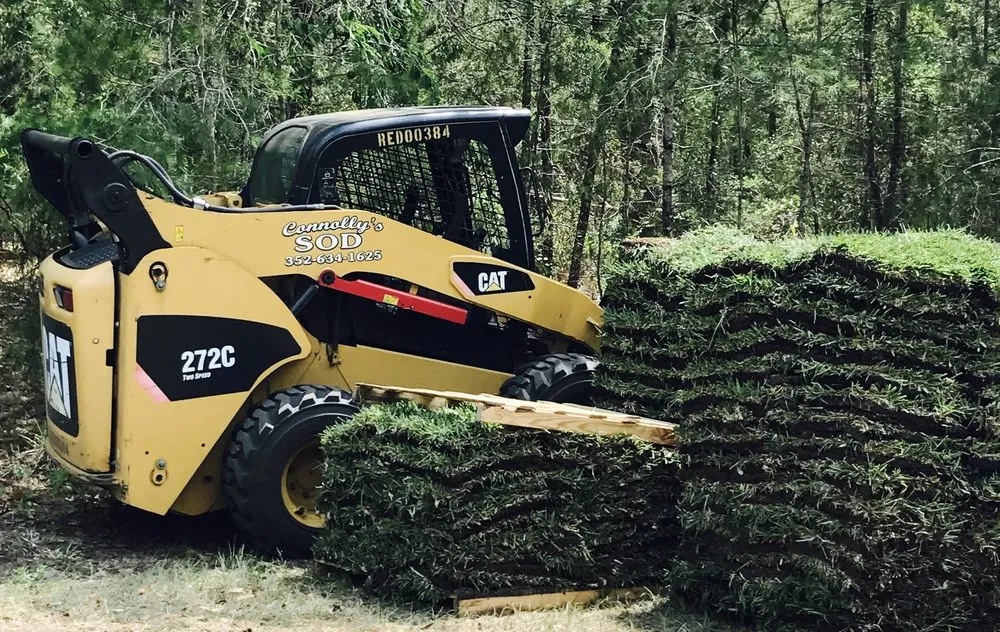 Expert yard cleanup service in Spring, FL by Connolly's Sod
