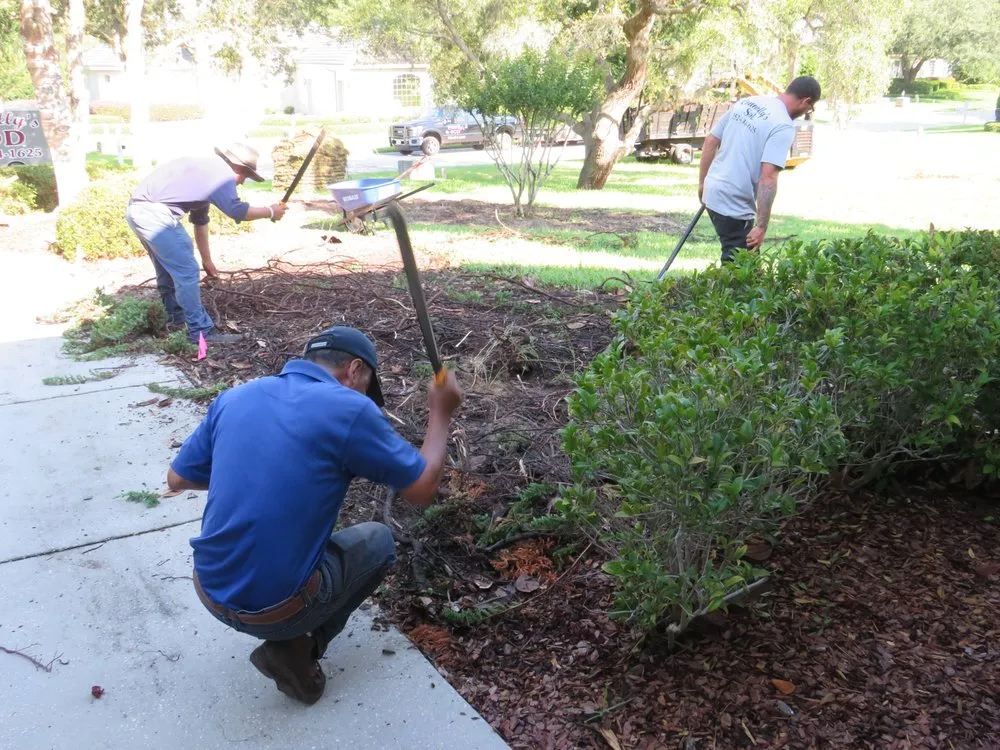 Trusted lawn care service for residential properties across Spring, FL - Connolly's Sod