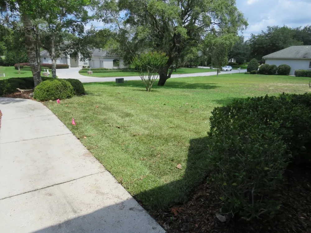 Professional outdoor landscaping in Spring, FL - Connolly's Sod