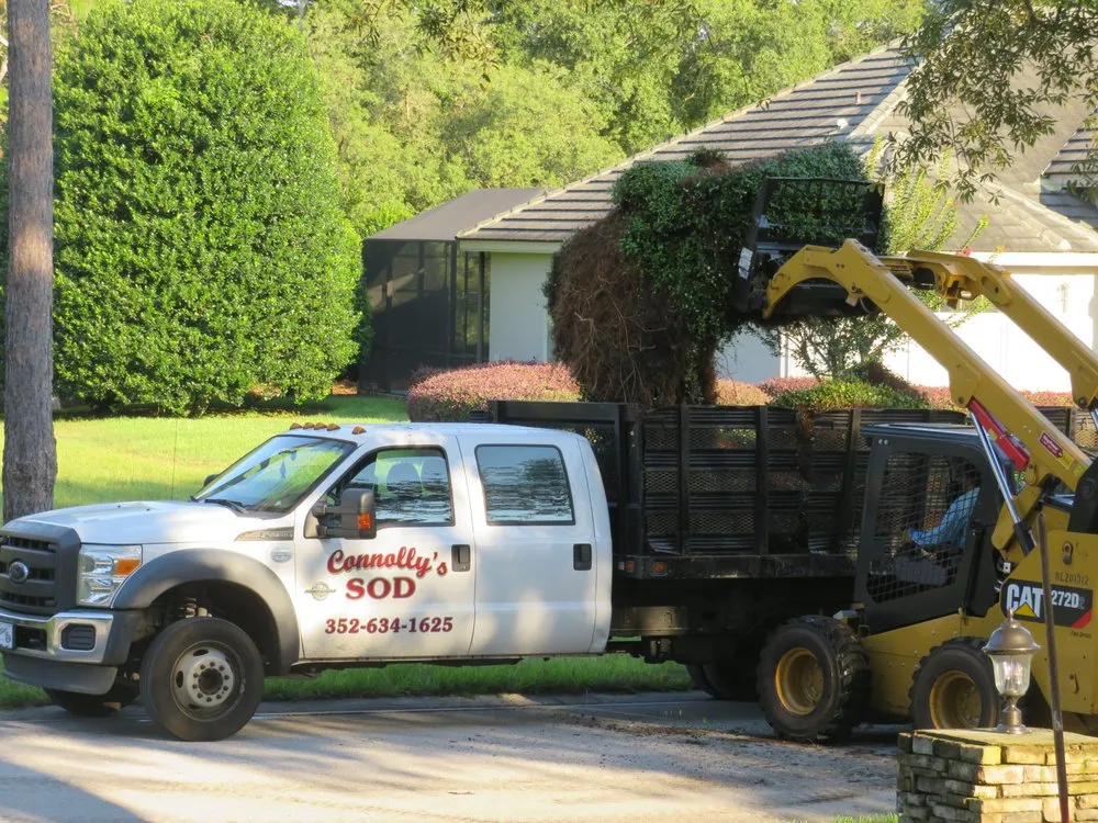 Affordable lawn care service for outdoor upgrades in Spring, FL by Connolly's Sod