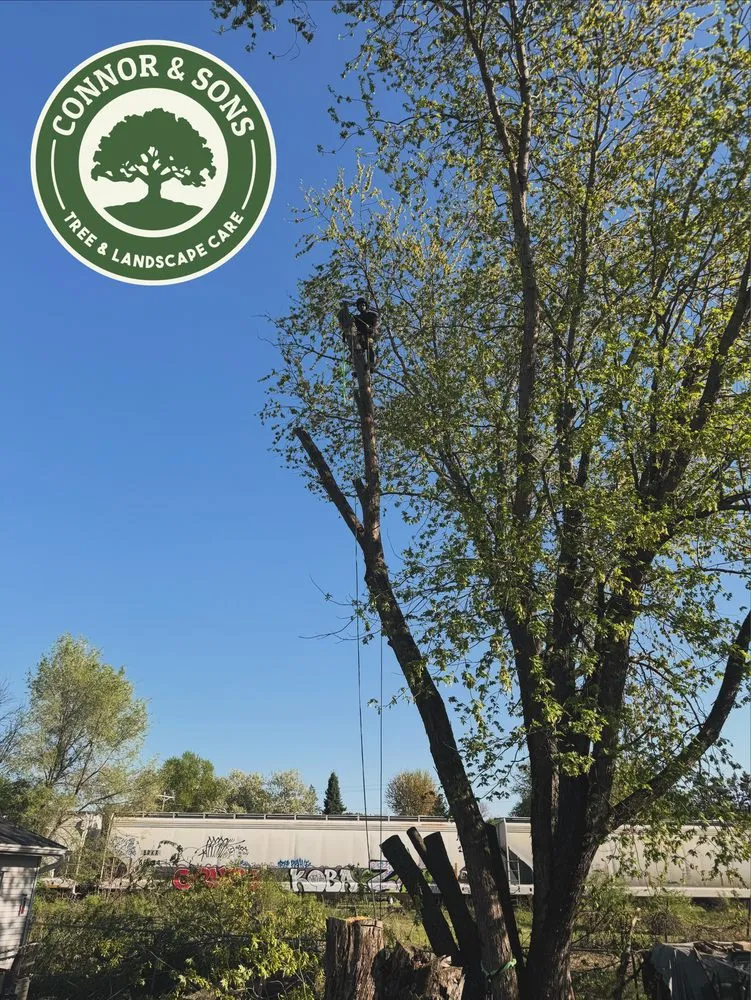 Professional residential landscaping in Fond du Lac, WI - Connor And Sons