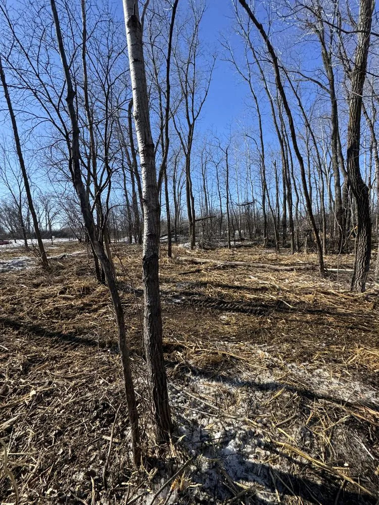 Reliable landscape design for beautiful yards in Fond du Lac, WI by Connor And Sons