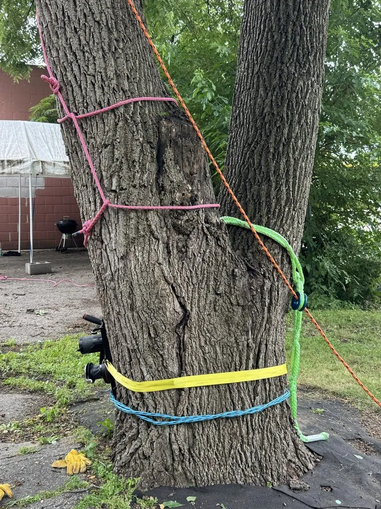 Custom landscape installation for homes in Fond du Lac, WI by Connor And Sons