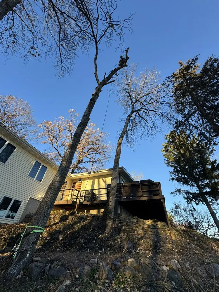 Trusted yard cleanup service in Fond du Lac, WI by Connor And Sons