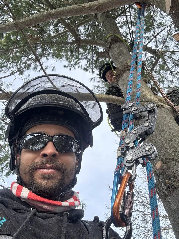 Custom lawn care service near you in Fond du Lac, WI by Connor And Sons