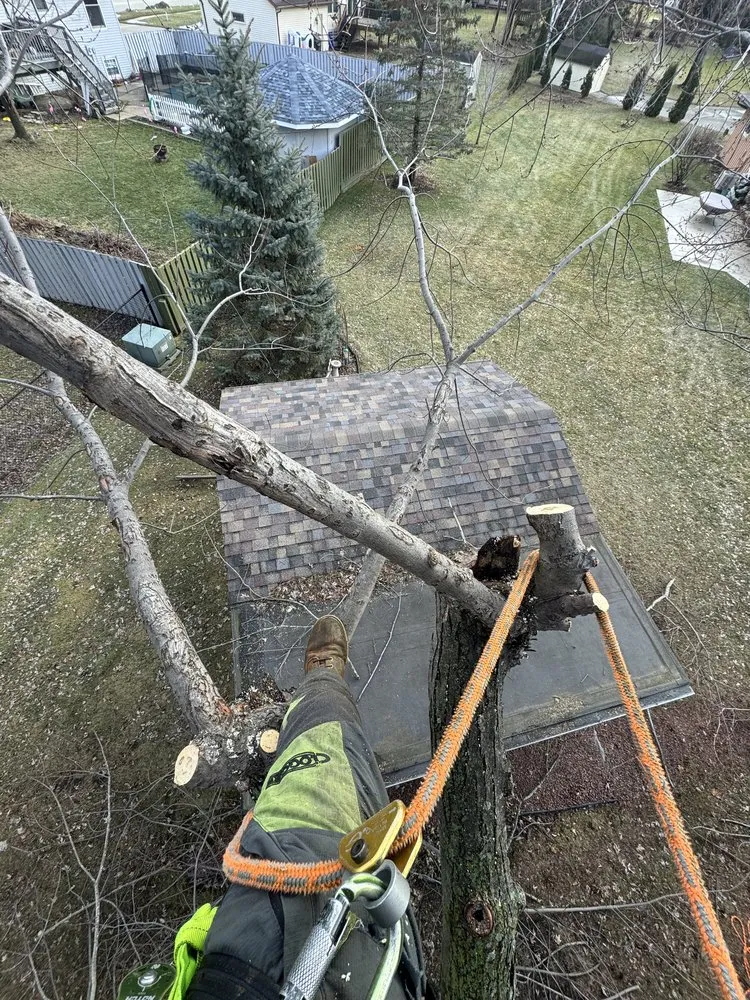 Local landscaping services for year-round maintenance in Fond du Lac, WI by Connor And Sons