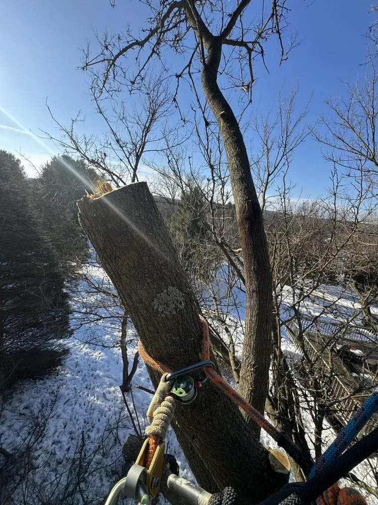 Reliable yard cleanup service for homes in Fond du Lac, WI by Connor And Sons