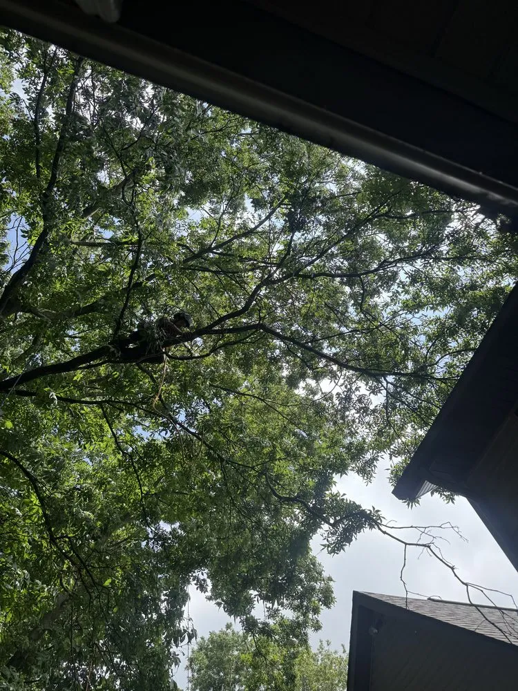 Custom landscape installation in Fond du Lac, WI - Connor And Sons