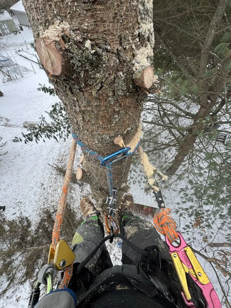 Reliable landscaping services for outdoor upgrades across Fond du Lac, WI - Connor And Sons