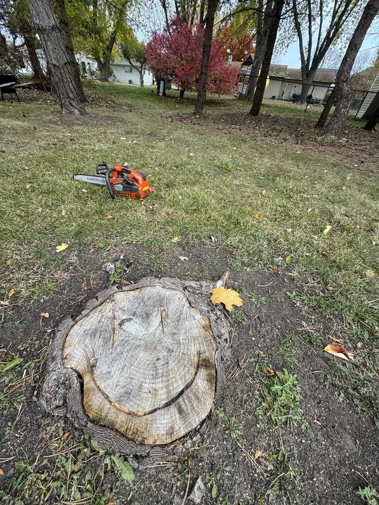 Local landscape design in Fond du Lac, WI - Connor And Sons